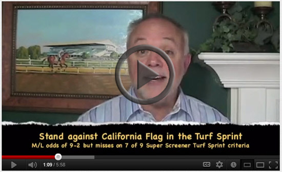 Breeders' Cup 2012 Picks